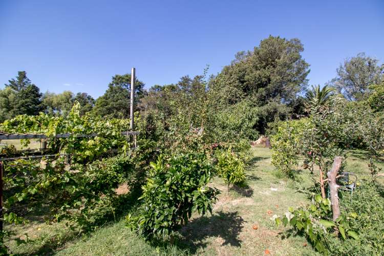 7208 State Highway 26 Paeroa_15