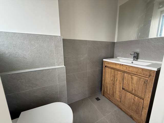 672 Mount Albert Road Royal Oak_3