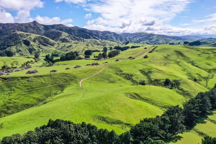 1091 Kopikopiko Road Eketahuna_18