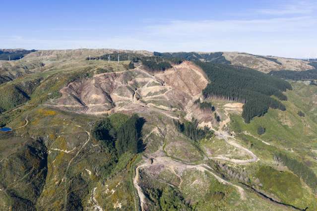 68-69 Creek Flat Lane Aokautere_4