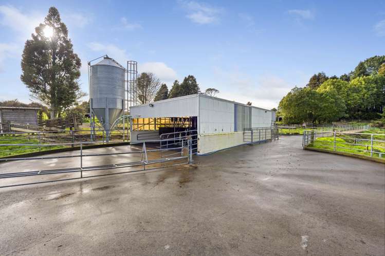 253 Cross Road Te Popo_9