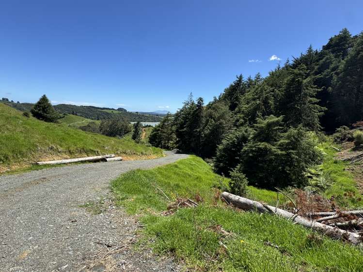 Lot 1 Brown Road Kawhia_10