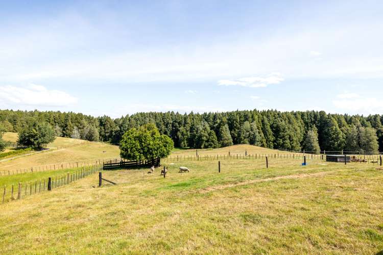97 Ngaroto Road Te Awamutu_31