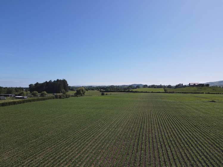 390 Marychurch Road Matangi_15