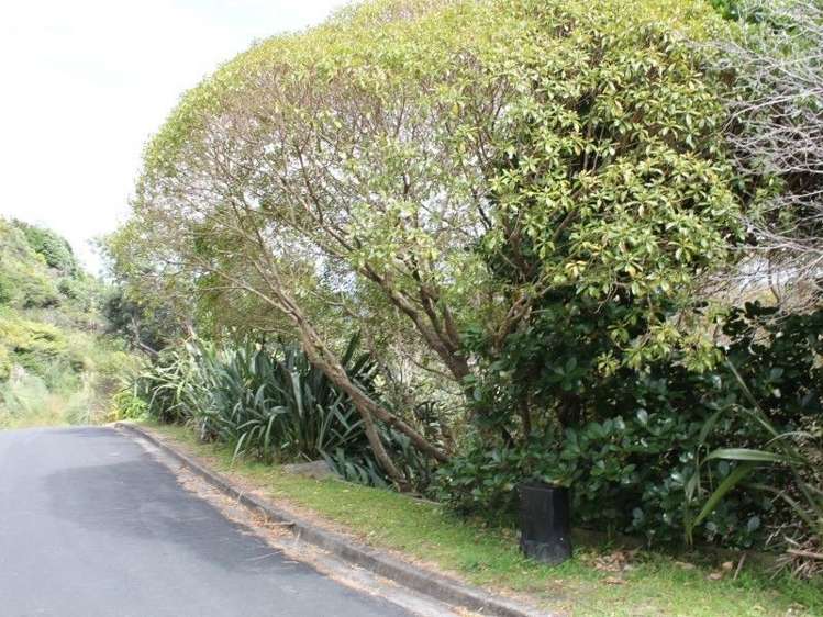 4 Fantail Terrace Tairua_5