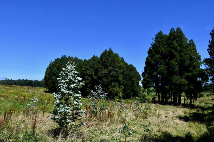 1/Lot 1 Kongahu Road Little Wanganui_11