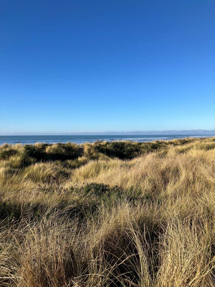 26 Pegasus Main Street Pegasus_23