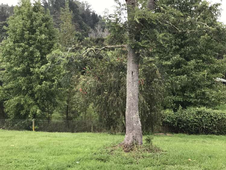 39 Boswell Street Kawakawa_17