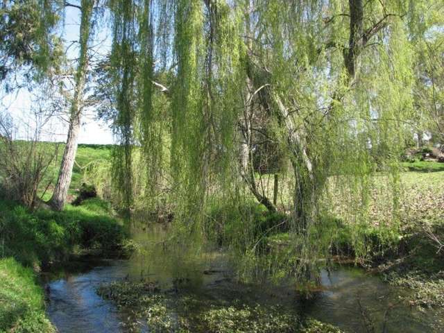 State Highway 27 Matamata_1