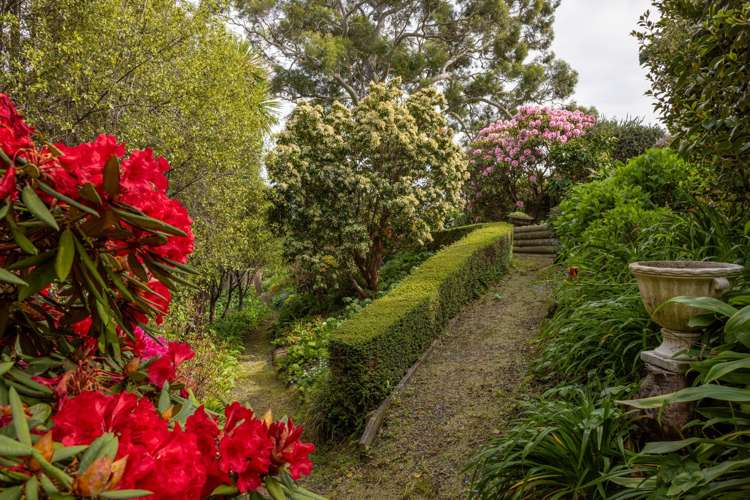 9 Rue Cachalot Akaroa_37