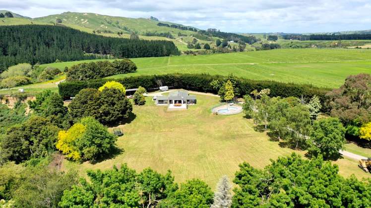 236 Tower Street Ormondville_16