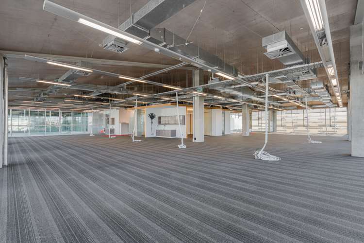 74 Taharoto Road Takapuna_7