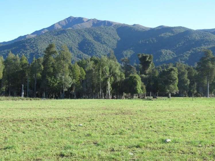 1248 Peel Forest Road Mesopotamia_5