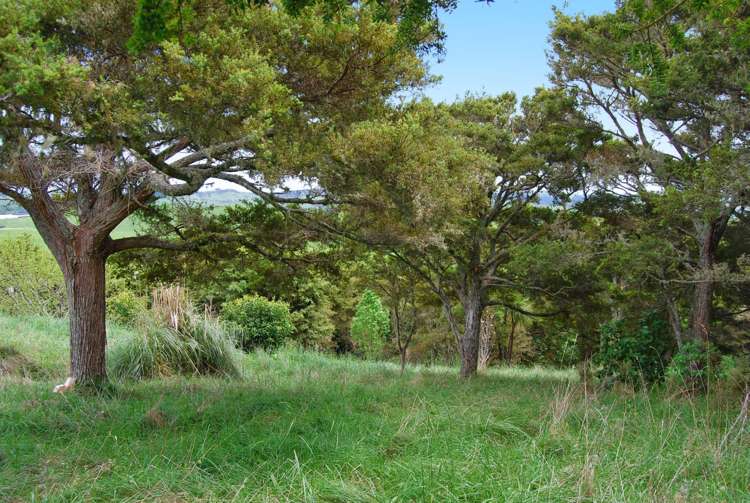 542e Oneriri Road Kaiwaka_4