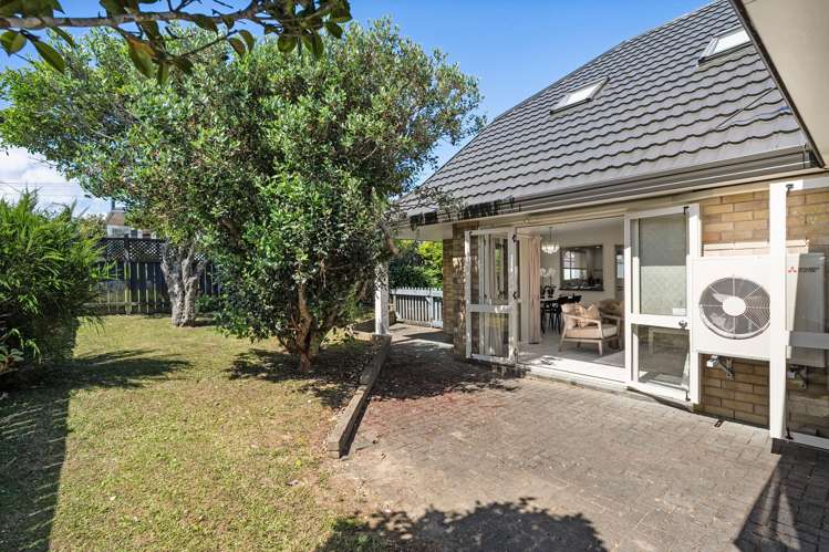 223A Mount Albert Road Sandringham_6