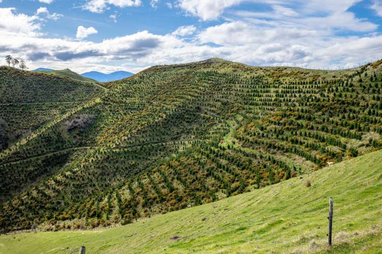 121 Win Valley Road Dovedale_19