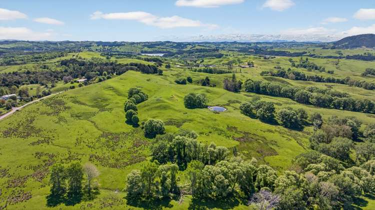 136 Ranganui Road Kaiwaka_39