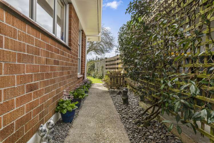 10a Willmott Place Springfield_16