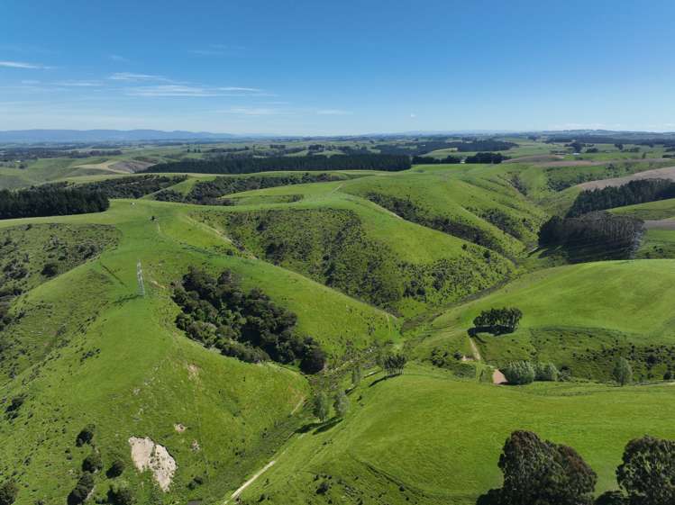 192 Clutha Valley Road Balclutha_5