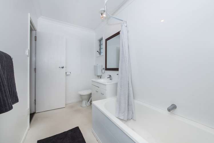 11 Mcculloch Road Panmure_14