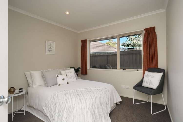 9 Palm Drive Shirley_12