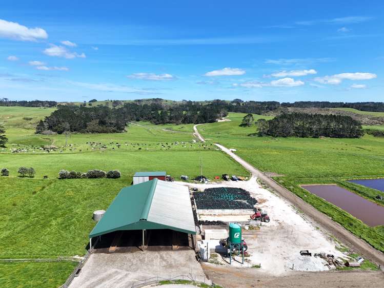 454 West Coast Road Te Kopuru_8