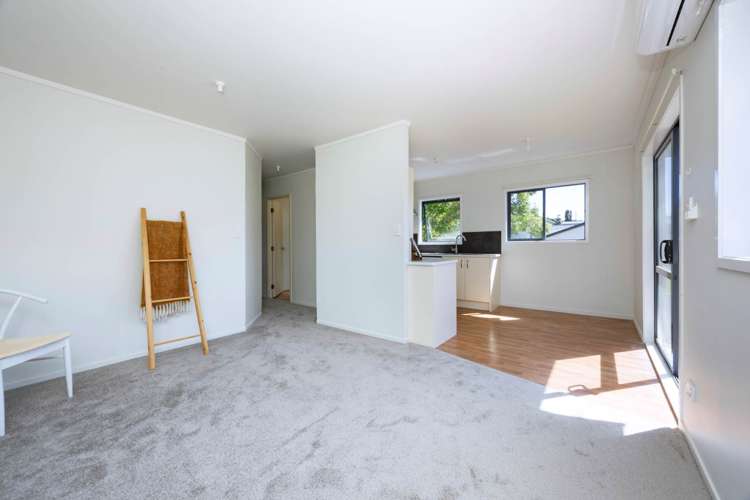 35 & 35A Fruitvale Road New Lynn_16