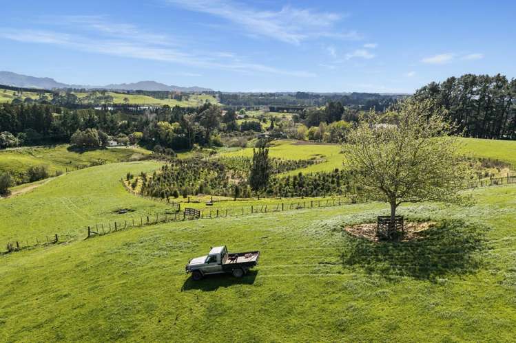 181 Lund Road Aongatete_5