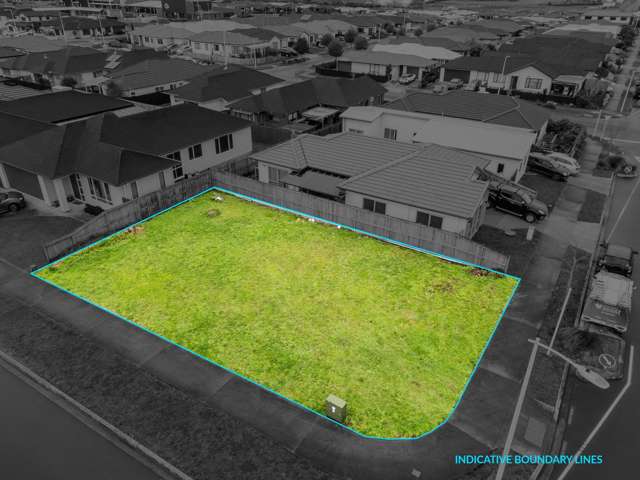 Prime Corner Section in Pukekohe-Build Now!