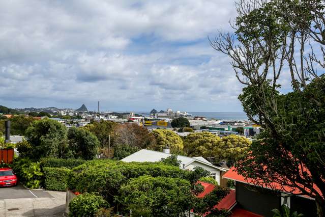Niger Terrace New Plymouth City Surrounds_3