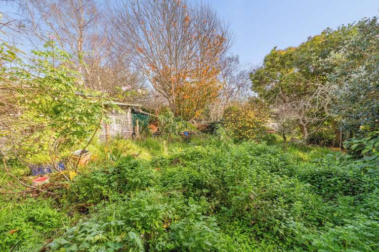 47 Maclaren Street Maymorn_8