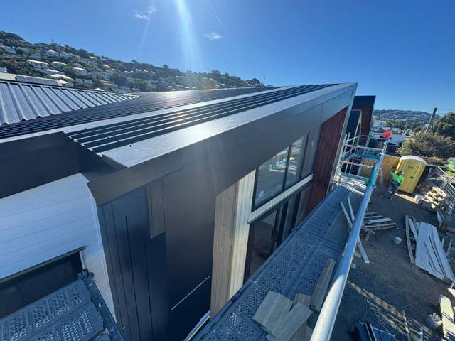 1 Palm Avenue Lyall Bay_2