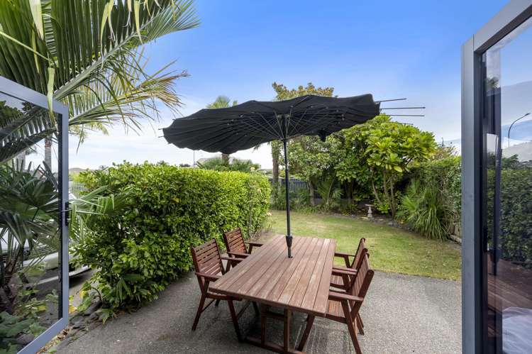 222 Guppy Road Taradale_12