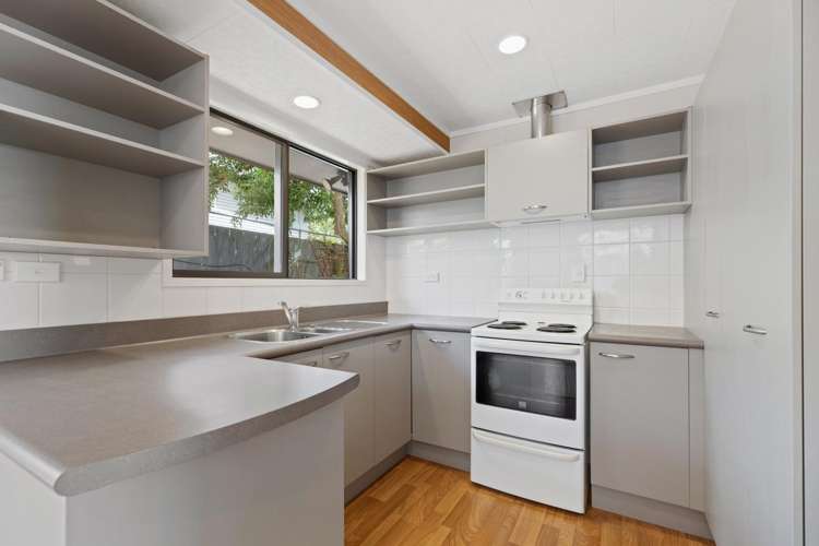 40A Princess Road Bellevue_8