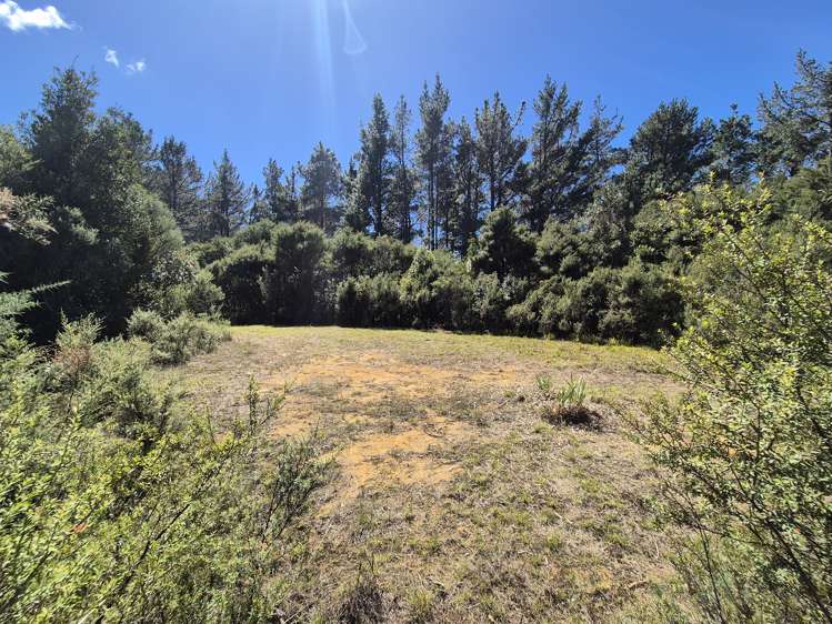 795 Tuateawa Road Waikawau_8