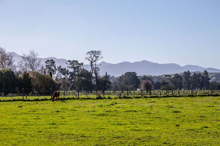 255 West Bush Road Upper Plain_19