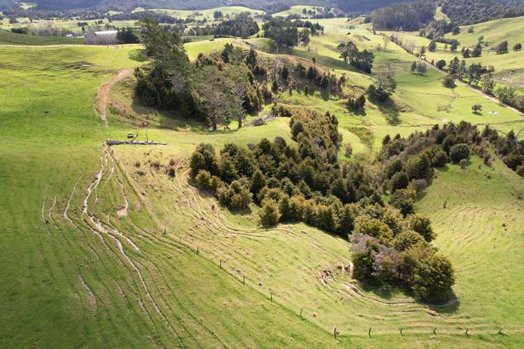117 Pigs Head Road Whakapara_10