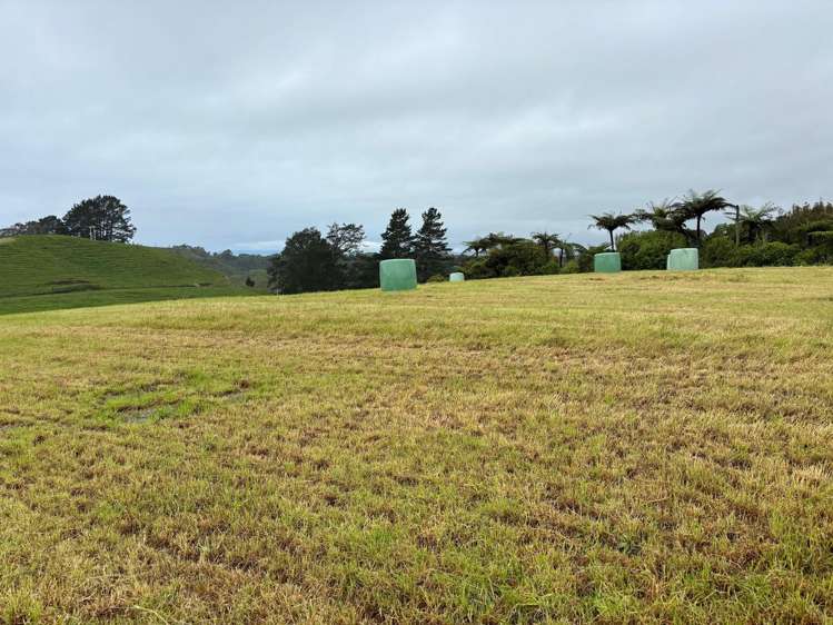 163A Ohanga Road Onaero_2