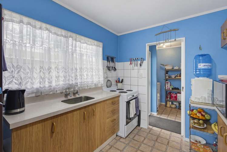 13 Douglas Street Levin_12