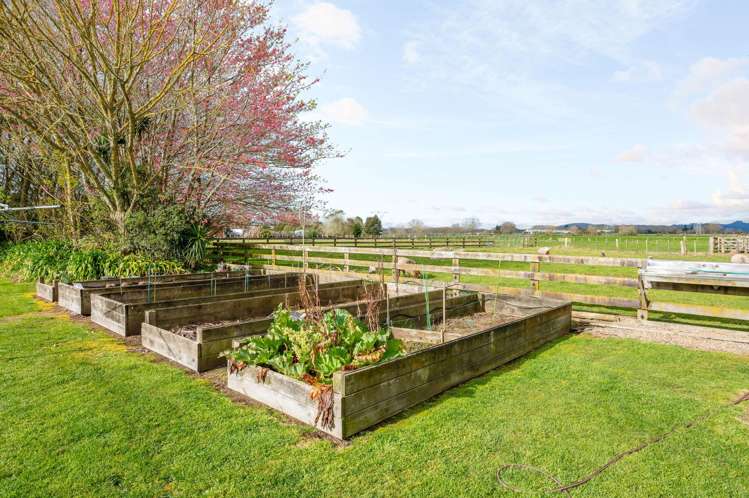 186b Holland Road Puketaha_32