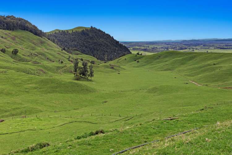 950 Braemar Road Rotoma_3