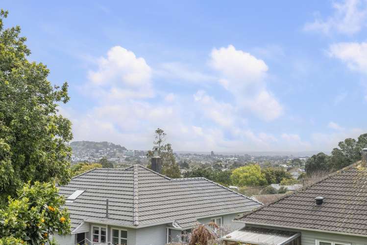 3 Dally Terrace Mount Roskill_13