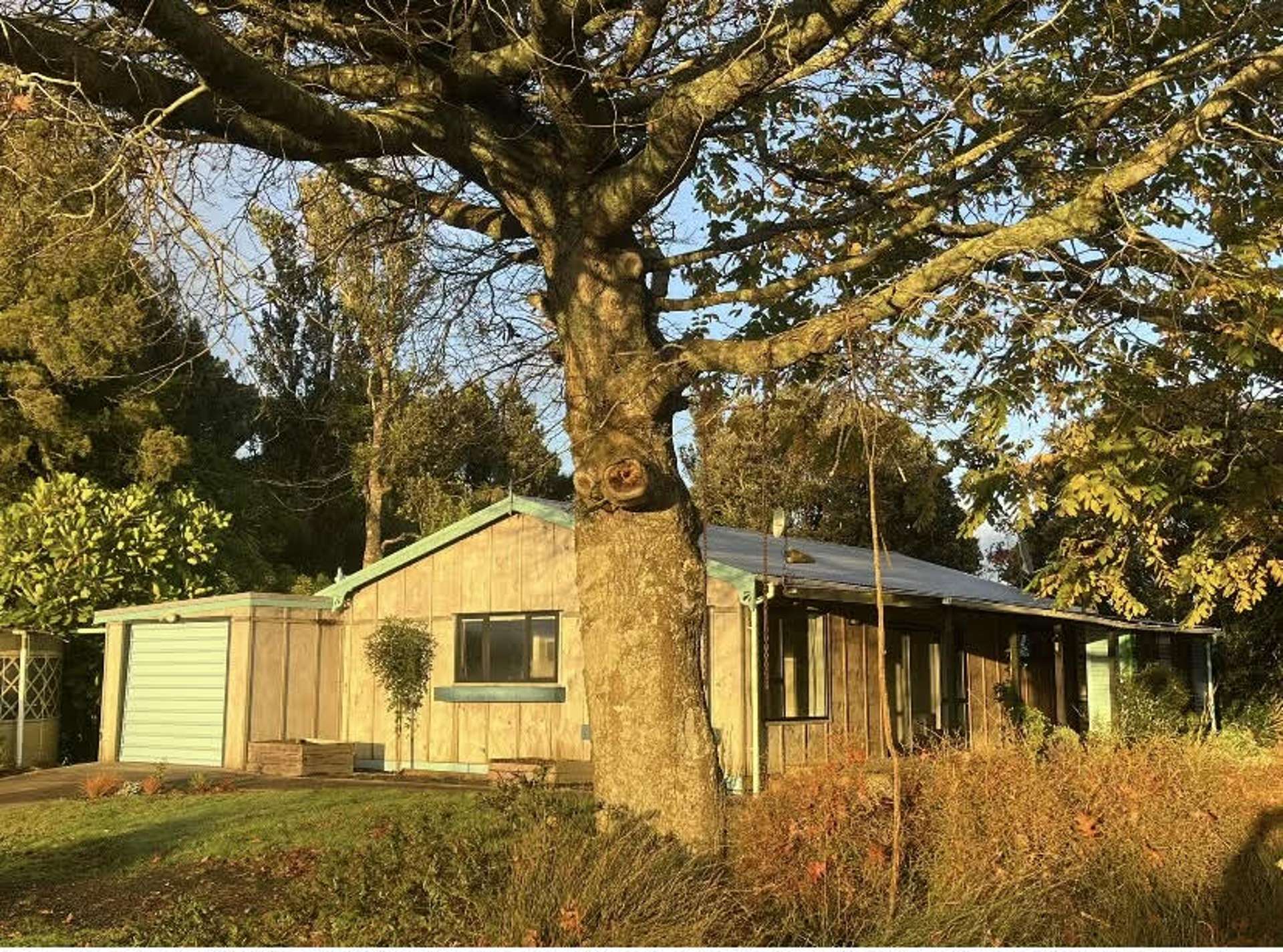 161B Maungatawhiri Road Raglan_0