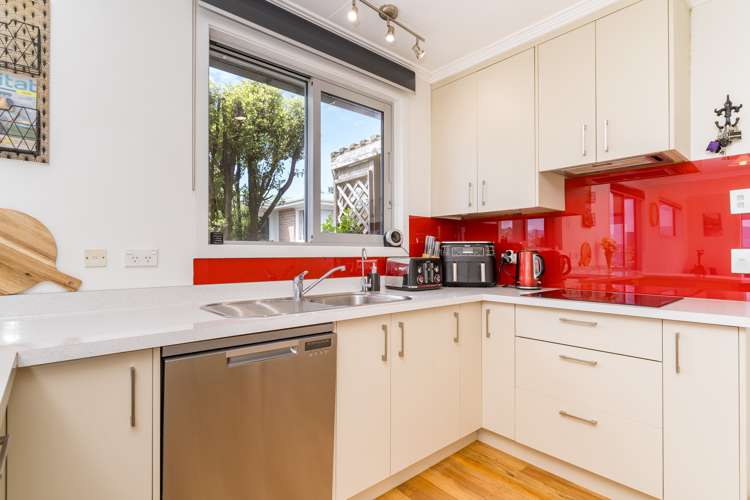 245 Highcliff Road Shiel Hill_5