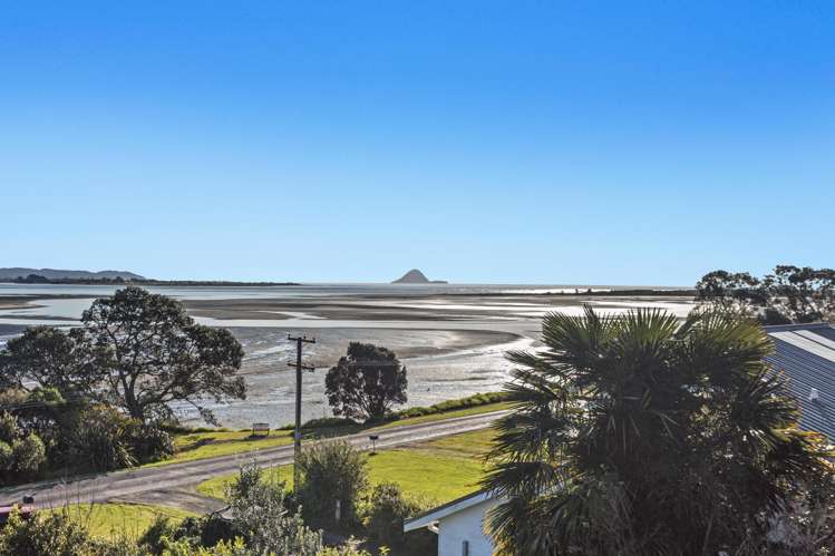 264 Ohiwa Harbour Road_0