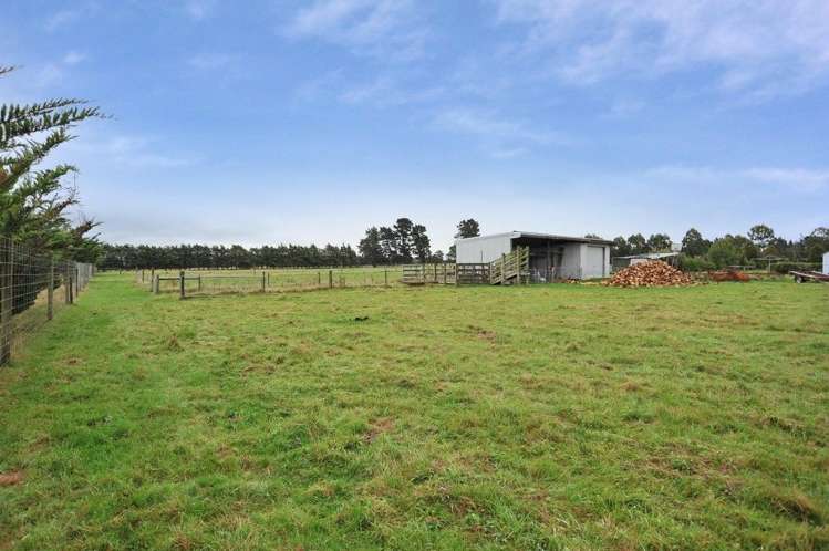 245 Beatties Road Ashley_29