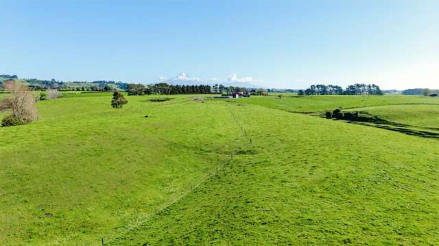 Versatile Buying Options - Sought-After Location
