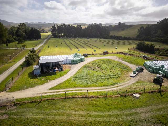 121 Joyce Road Hampden_3