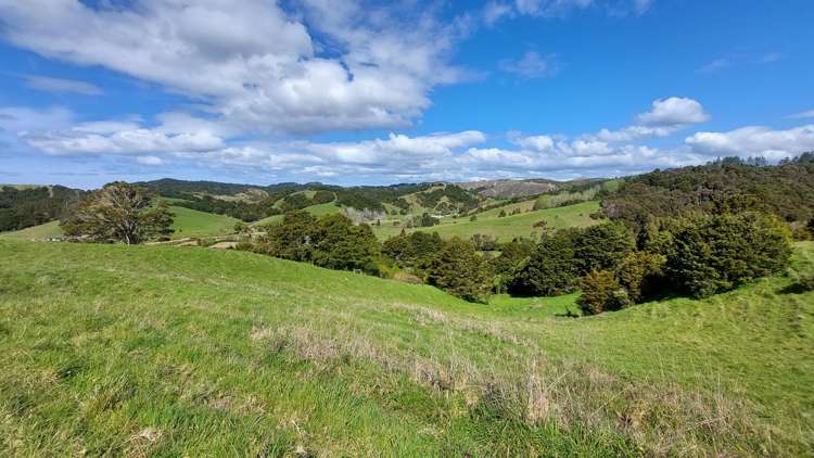 152 McBreen Road Hikurangi Rd1_36