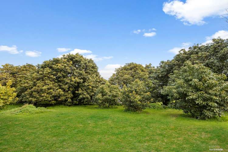 58 Conway Road Paengaroa_29